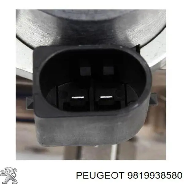 9819938580 Peugeot/Citroen насос топливный высокого давления (тнвд)