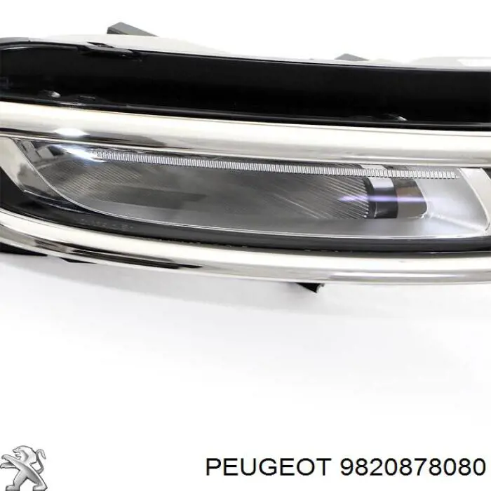 9820878080 Peugeot/Citroen 