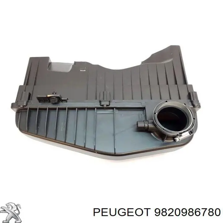 9820986780 Peugeot/Citroen caixa de filtro de ar