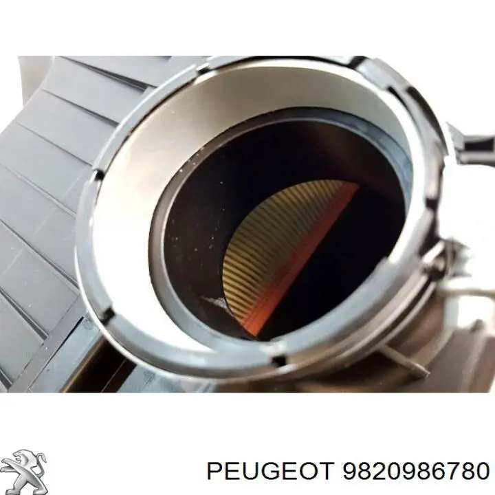 Casco de filtro de aire 9820986780 Peugeot/Citroen