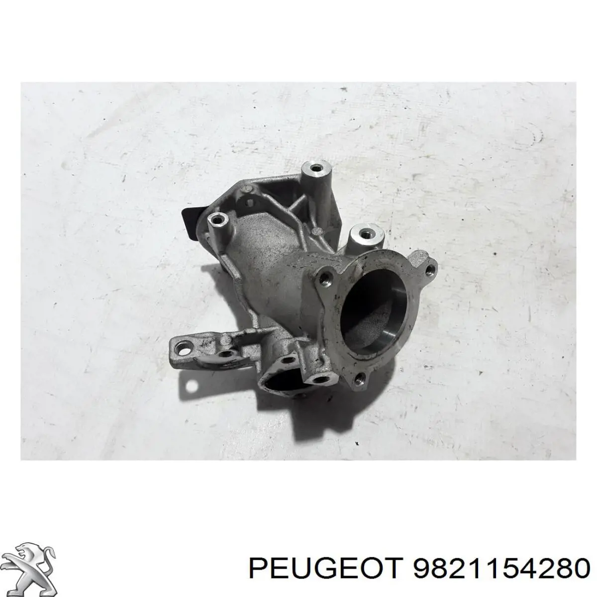 9821154280 Peugeot/Citroen 