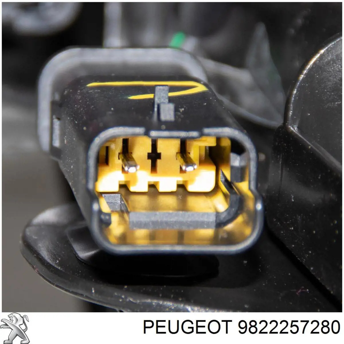 9818748180 Peugeot/Citroen Бак AD BLUE