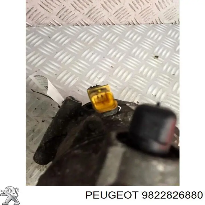 9822826880 Peugeot/Citroen