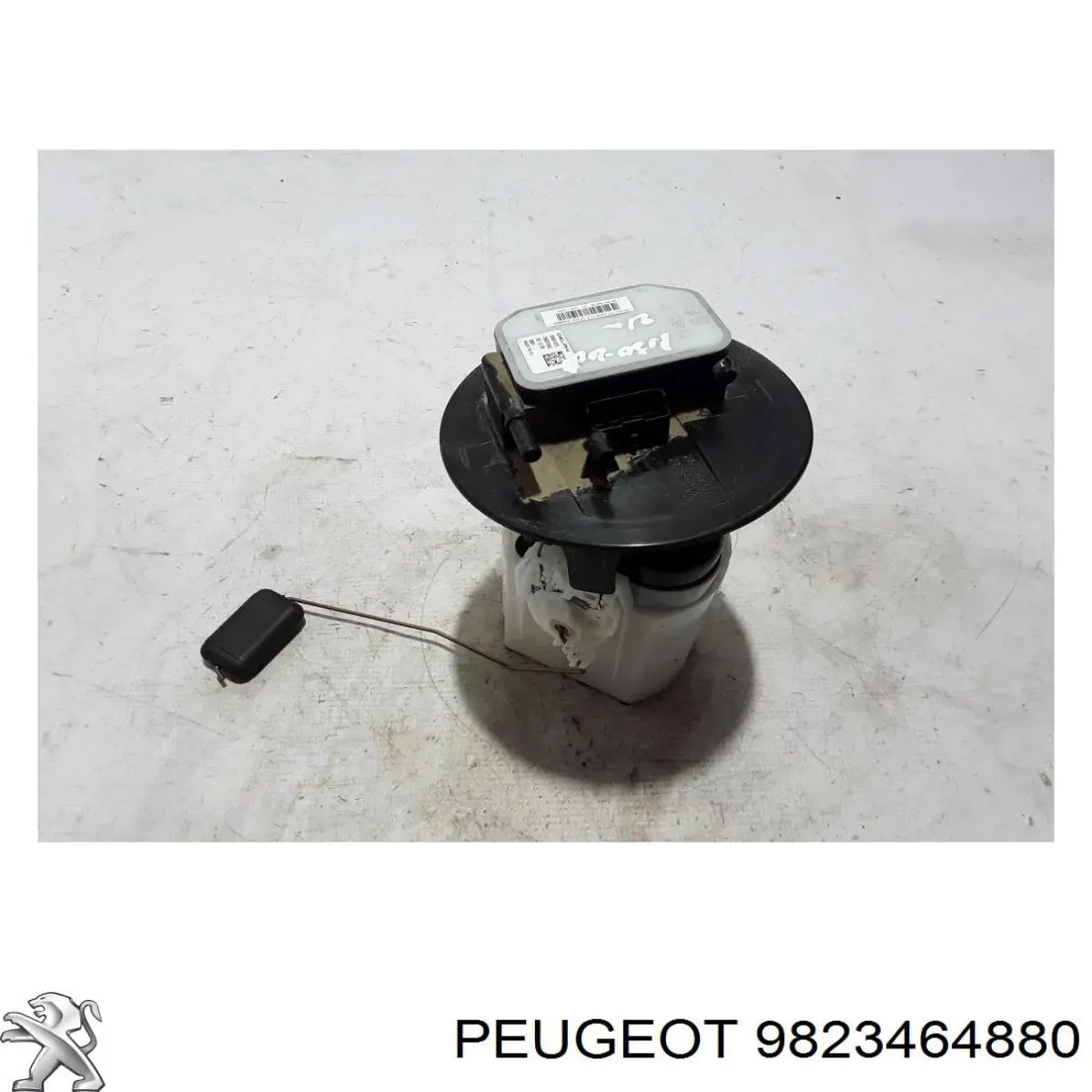  9823464880 Peugeot/Citroen