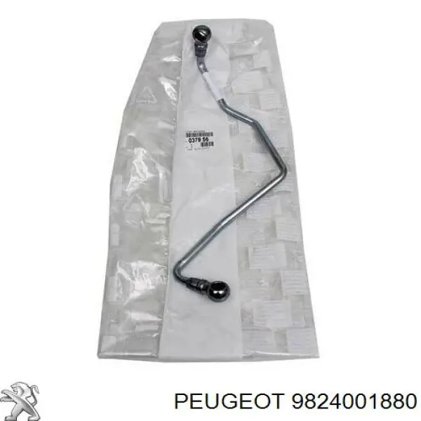 37956 Peugeot/Citroen tubo (mangueira de fornecimento de óleo de turbina)