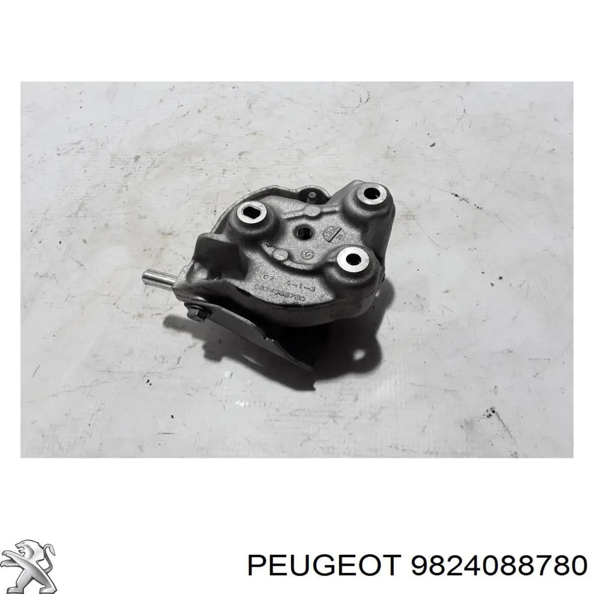 9824088780 Peugeot/Citroen 