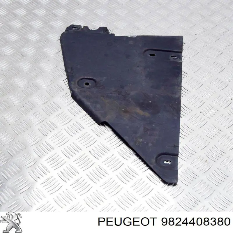  9824408380 Peugeot/Citroen