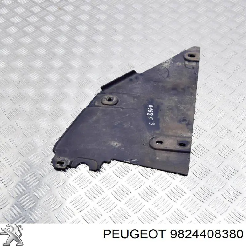 9824408380 Peugeot/Citroen 