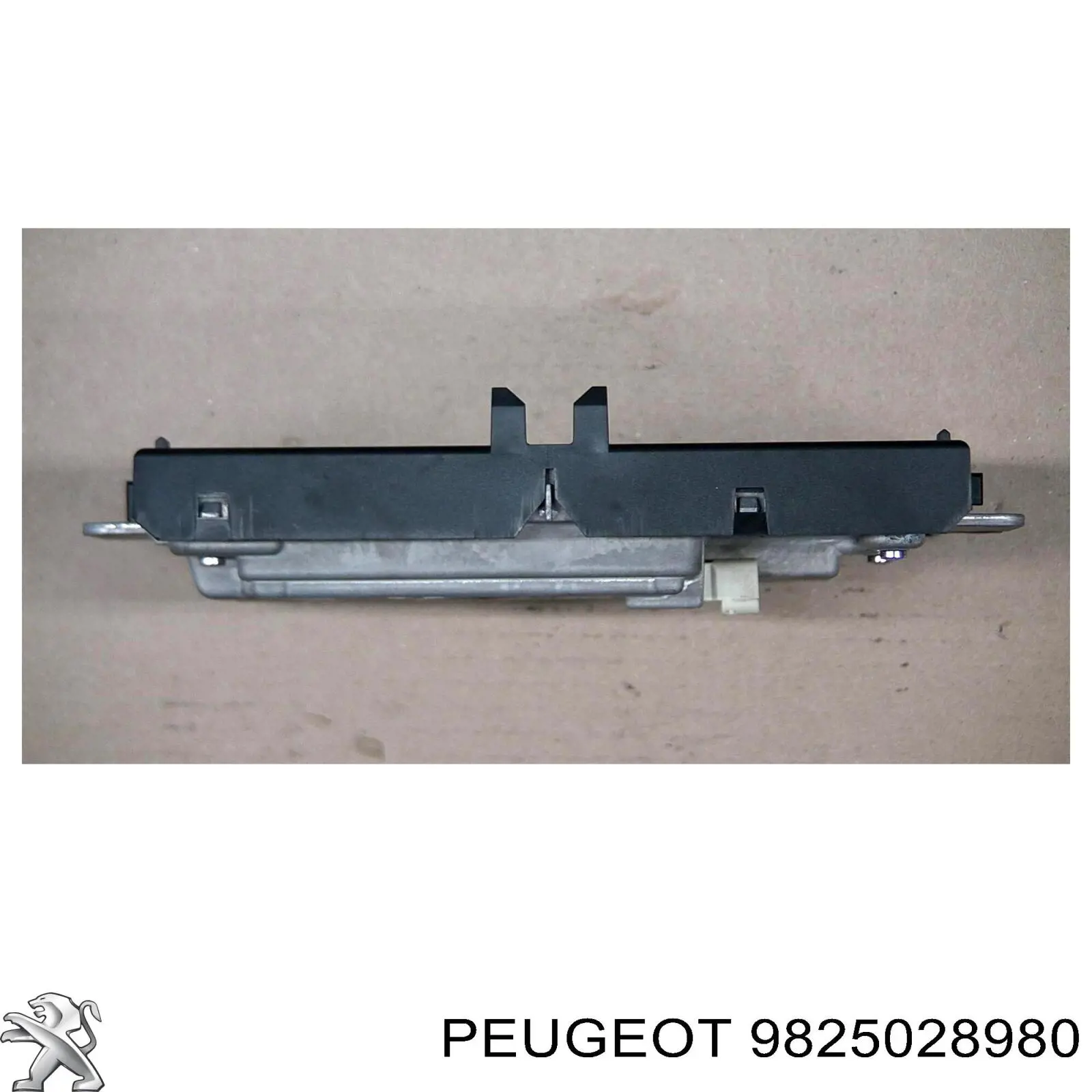 9825028980 Peugeot/Citroen 