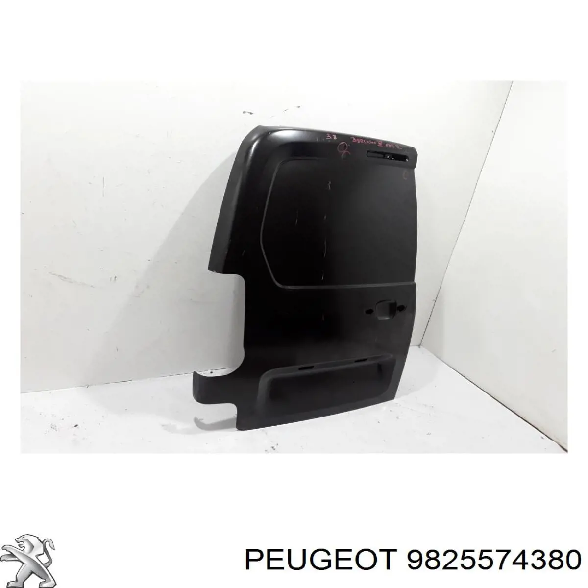  9825574380 Peugeot/Citroen