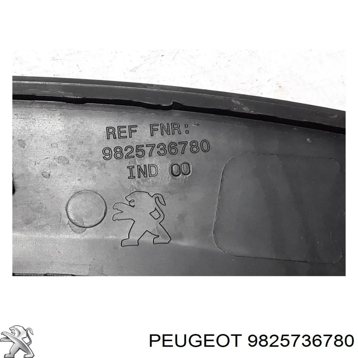 Купить 9825736780 Peugeot/Citroen 