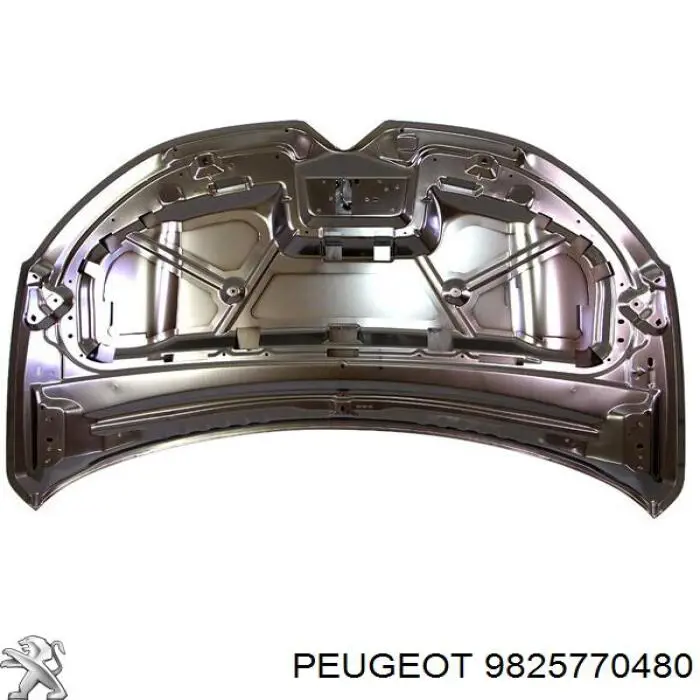  9825770480 Peugeot/Citroen