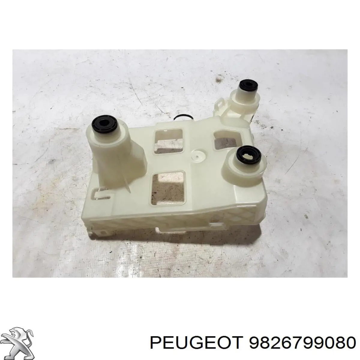 9826799080 Peugeot/Citroen 