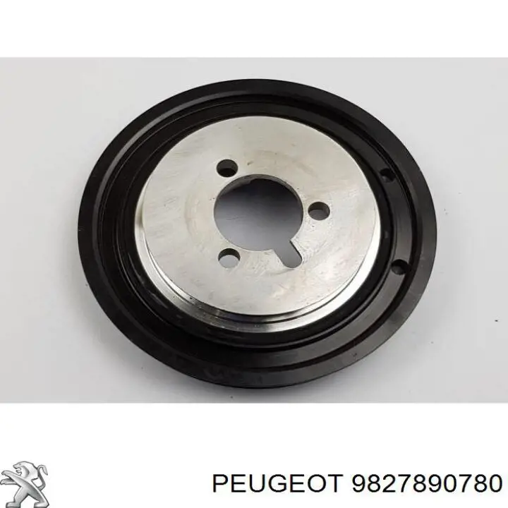 9827890780 Peugeot/Citroen polia de cambota