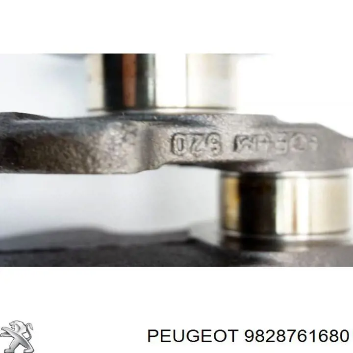 Купить 9828761680 Peugeot/Citroen 