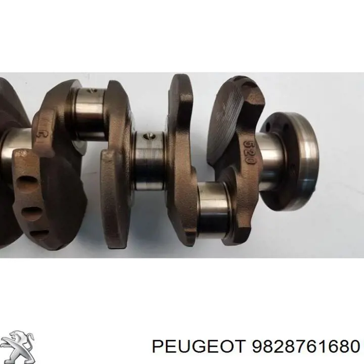 9828761680 Peugeot/Citroen 