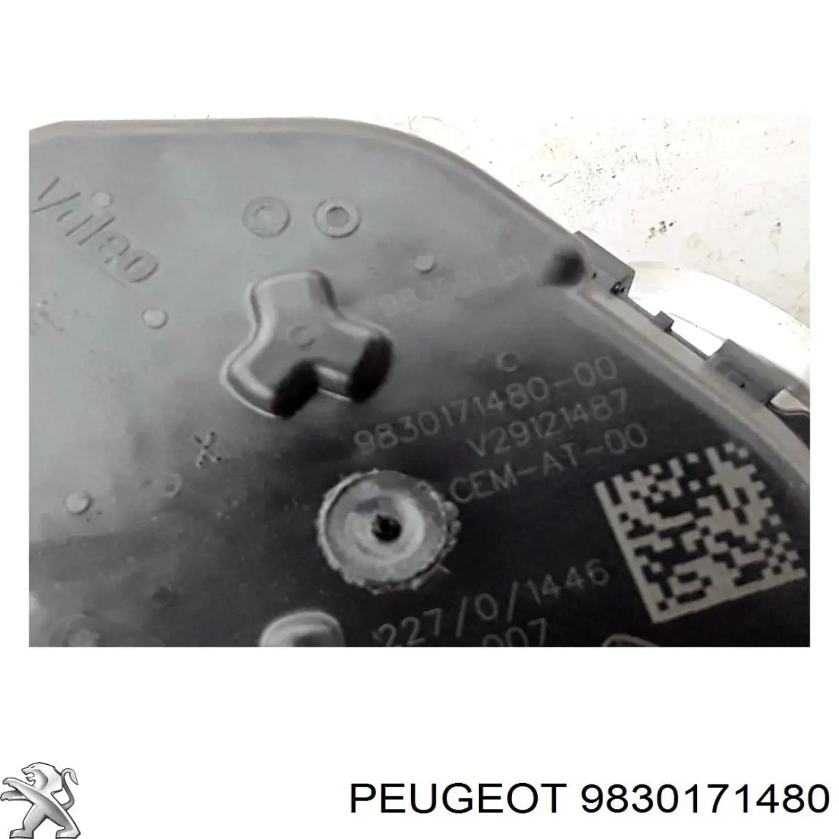 9830171480 Peugeot/Citroen Дроссельная заслонка
