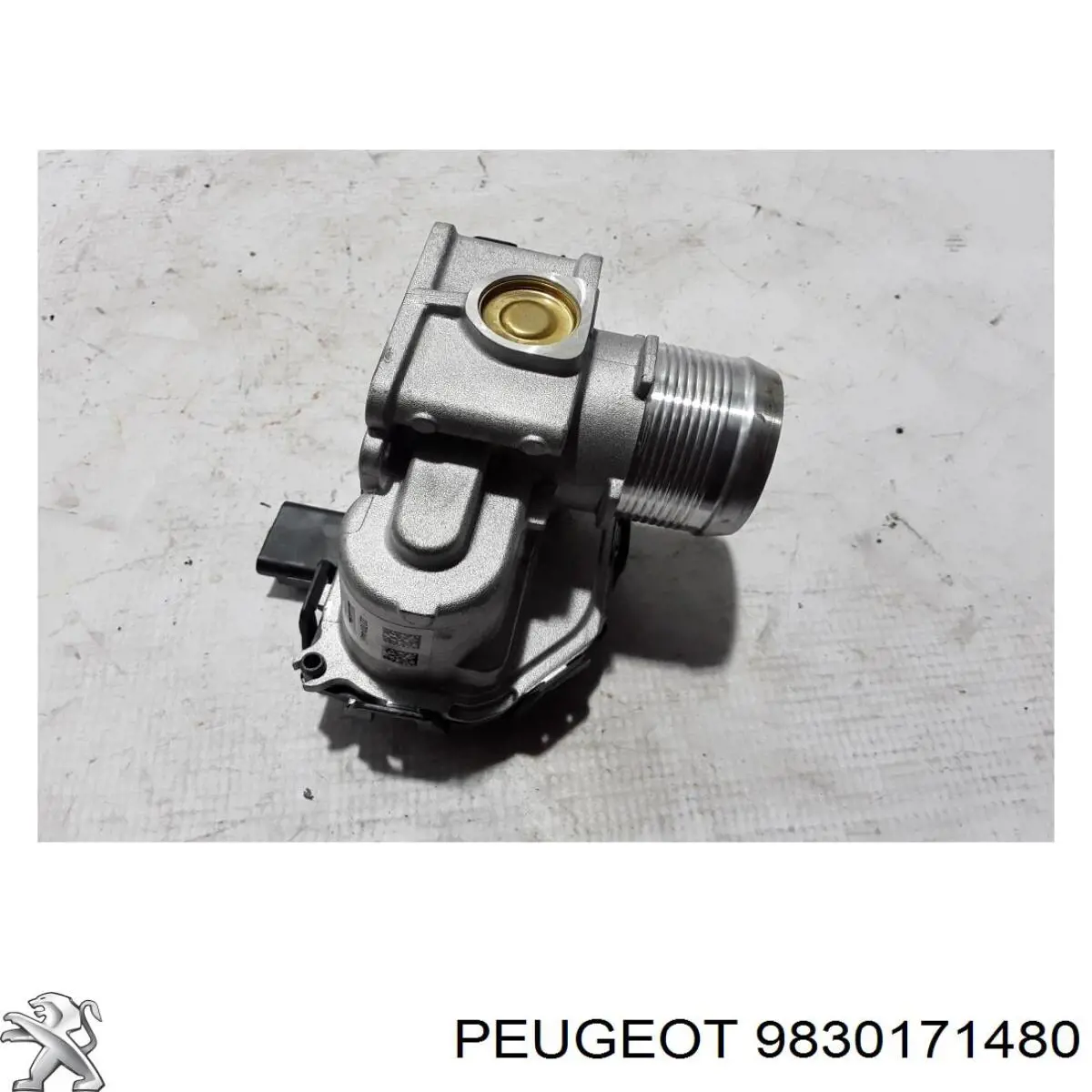 Дроссельная заслонка в сборе Peugeot/Citroen 9830171480 цена, от 82.89 USD