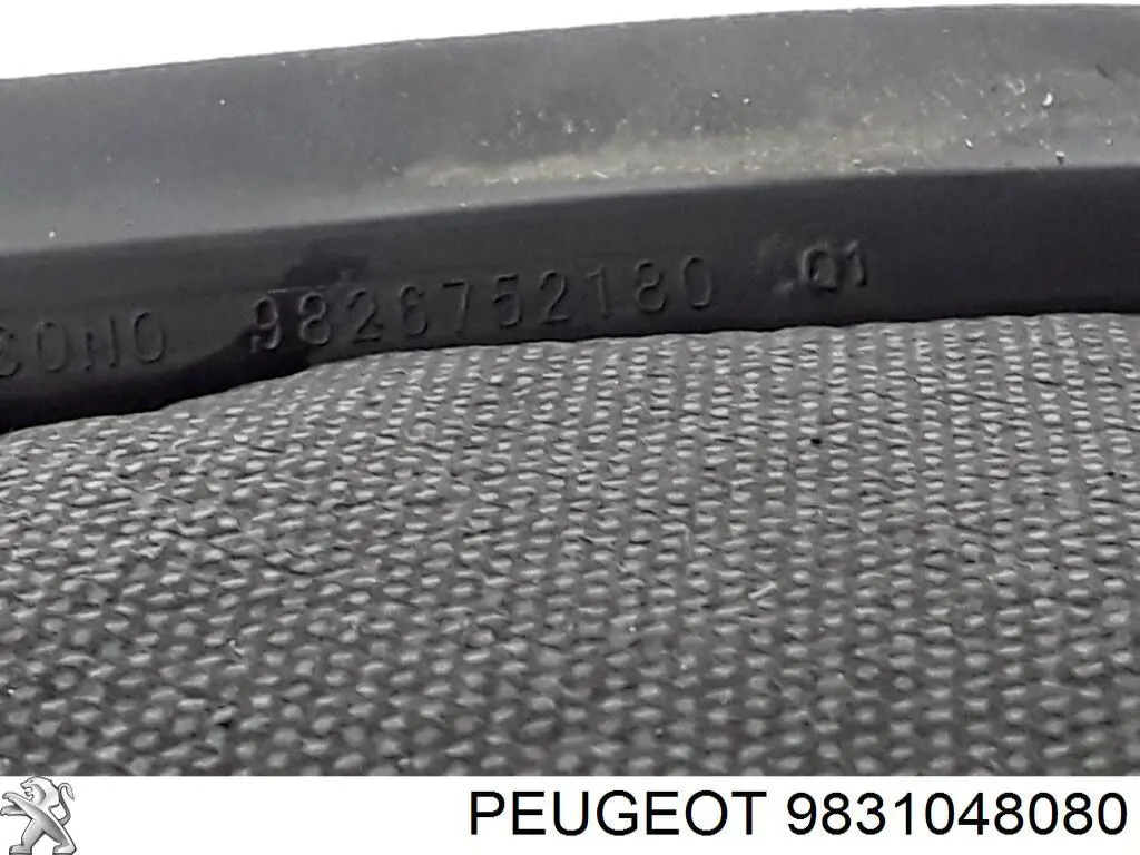 Купить 9831048080 Peugeot/Citroen Дверь задняя в сборе