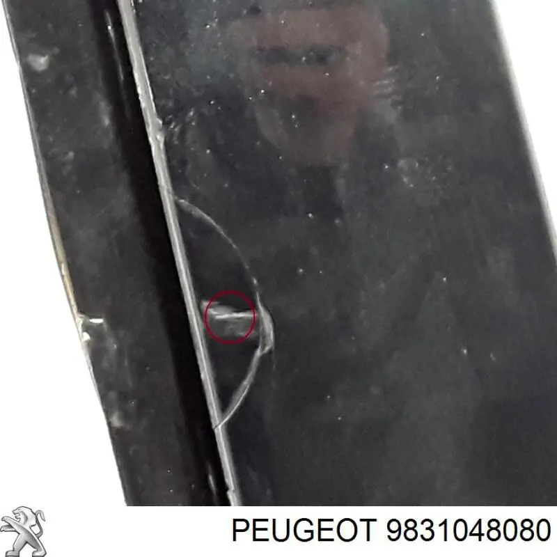 9831048080 Peugeot/Citroen Дверь задняя, правая