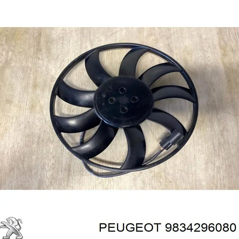 9834296080 Peugeot/Citroen 