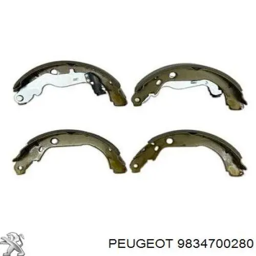 Комплект пружинок крепления дисковых колодок передних 9834700280 Peugeot/Citroen