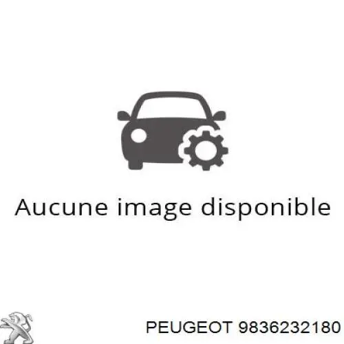  9836232180 Peugeot/Citroen