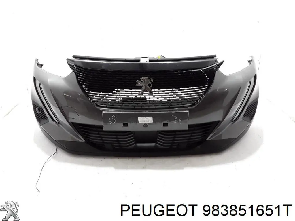 983851651T Peugeot/Citroen 