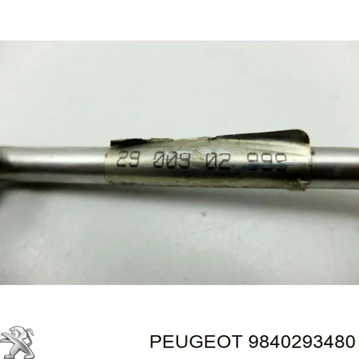 9840293480 Peugeot/Citroen 