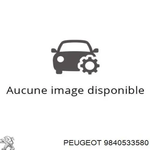 9840533580 Peugeot/Citroen турбина