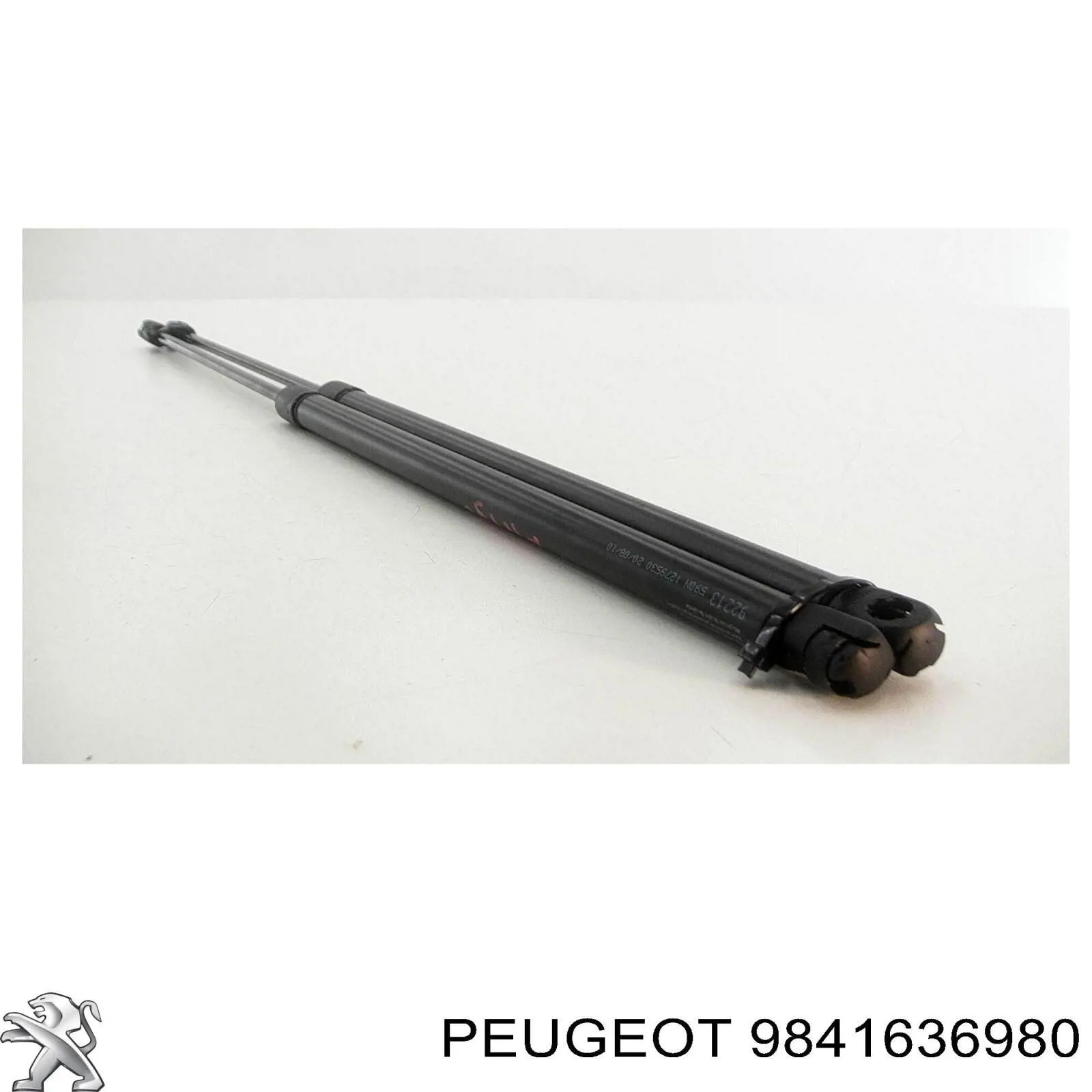 Купить 9819666280 Peugeot/Citroen 