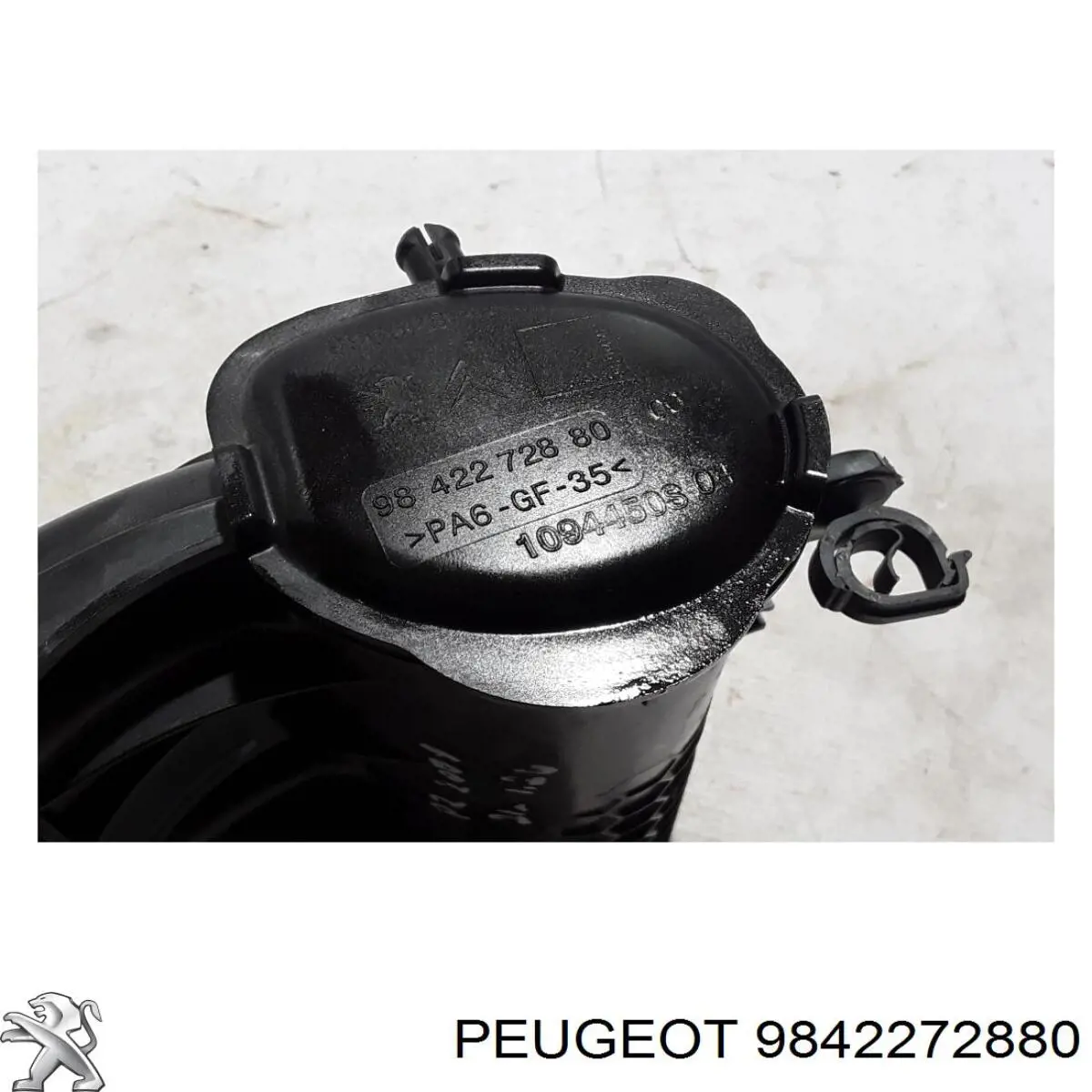 9842272880 Peugeot/Citroen Коллектор впускной