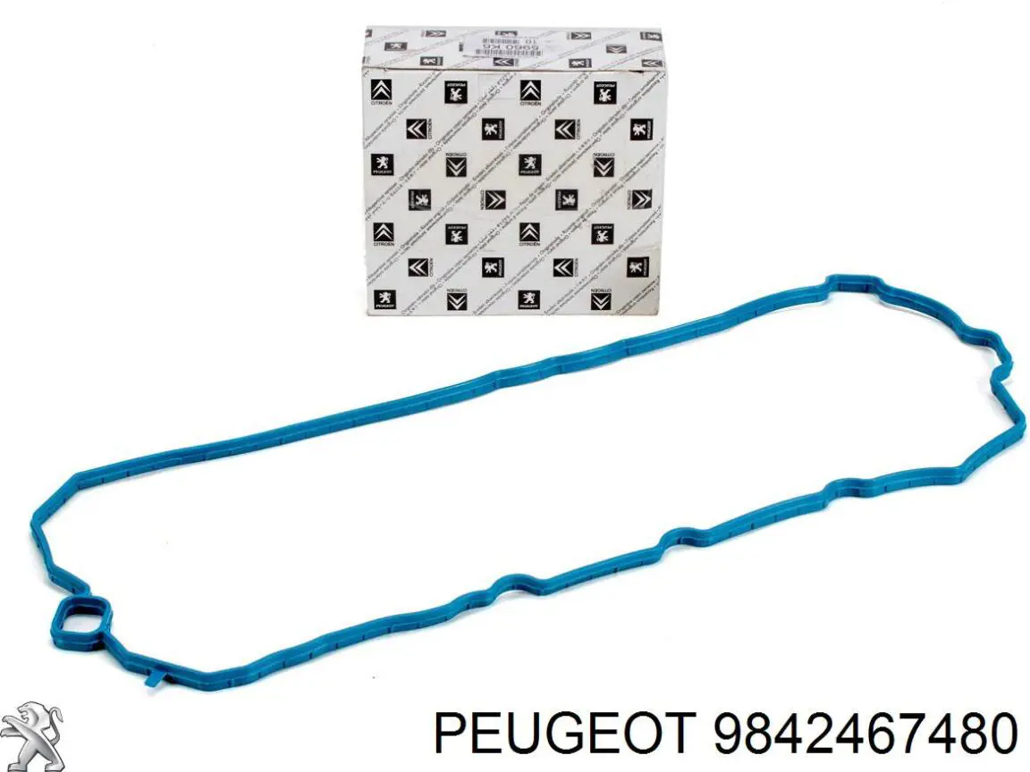 R8022RCR Freccia Выхлопной клапан