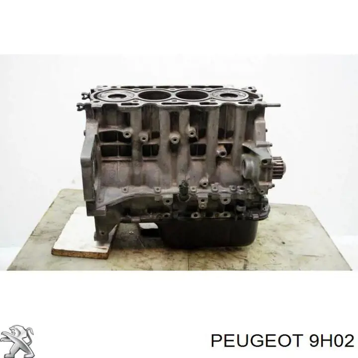 Блок цилиндров двигателя 9H02 Peugeot/Citroen