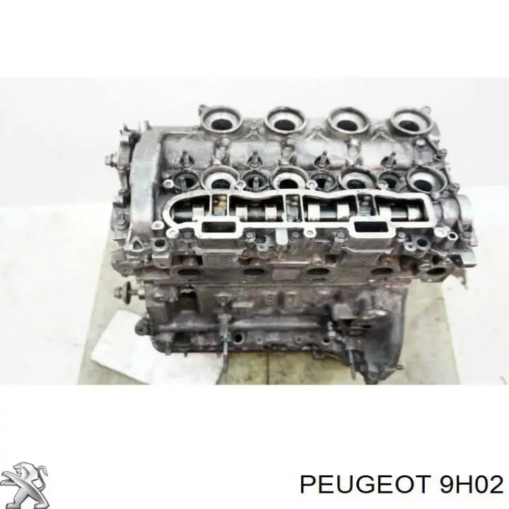 Купить 9H02 Peugeot/Citroen Пенек