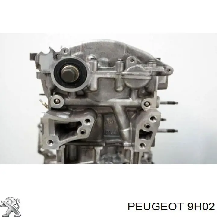 9H02 Peugeot/Citroen Блок цилиндров