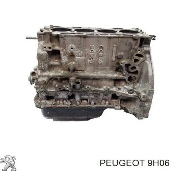 9H06 Peugeot/Citroen Мотор в сборе
