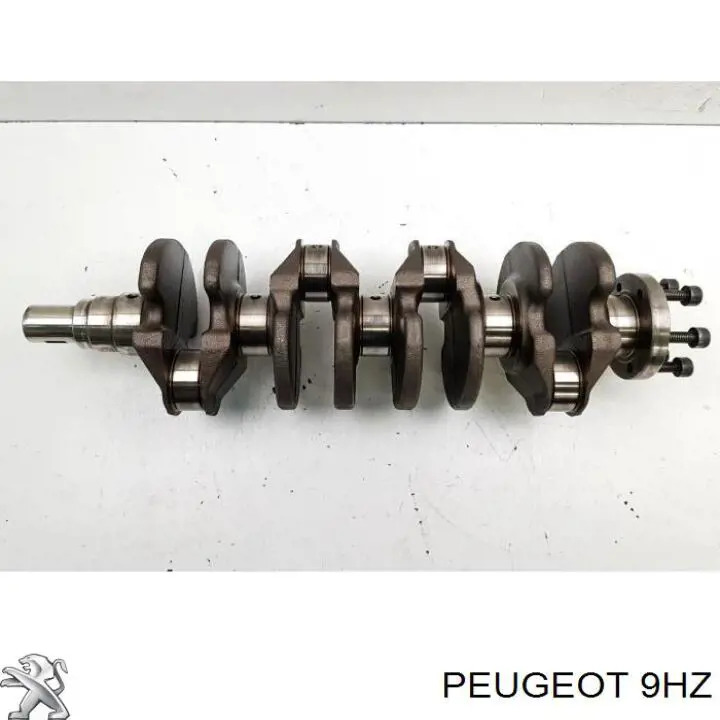 9HZ Peugeot/Citroen Motor montado