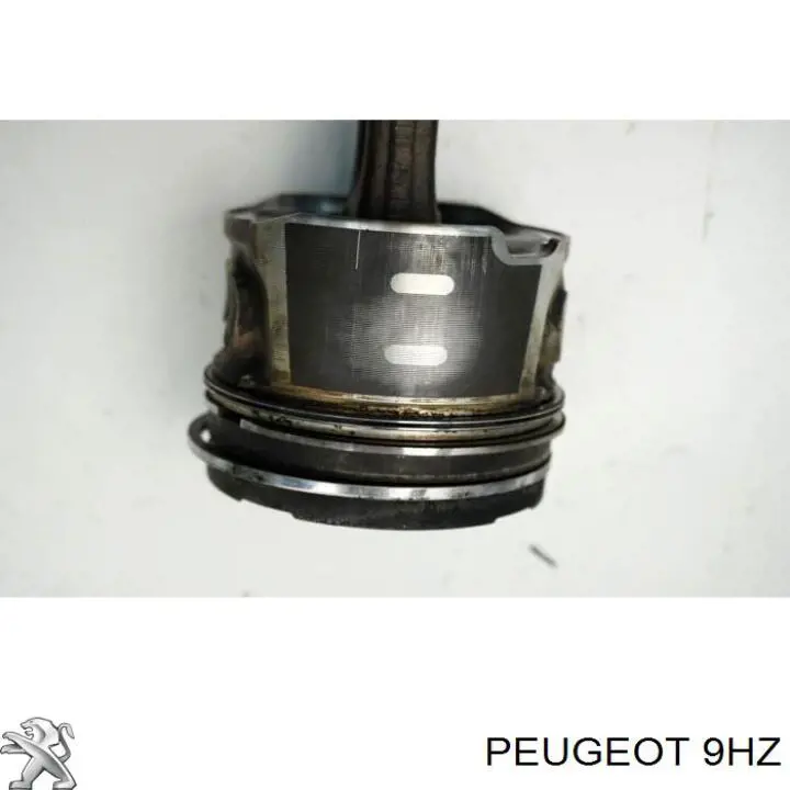Motor montado Peugeot/Citroen 9HZ