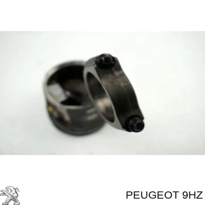 Compre 9HZ Peugeot/Citroen Motor montado