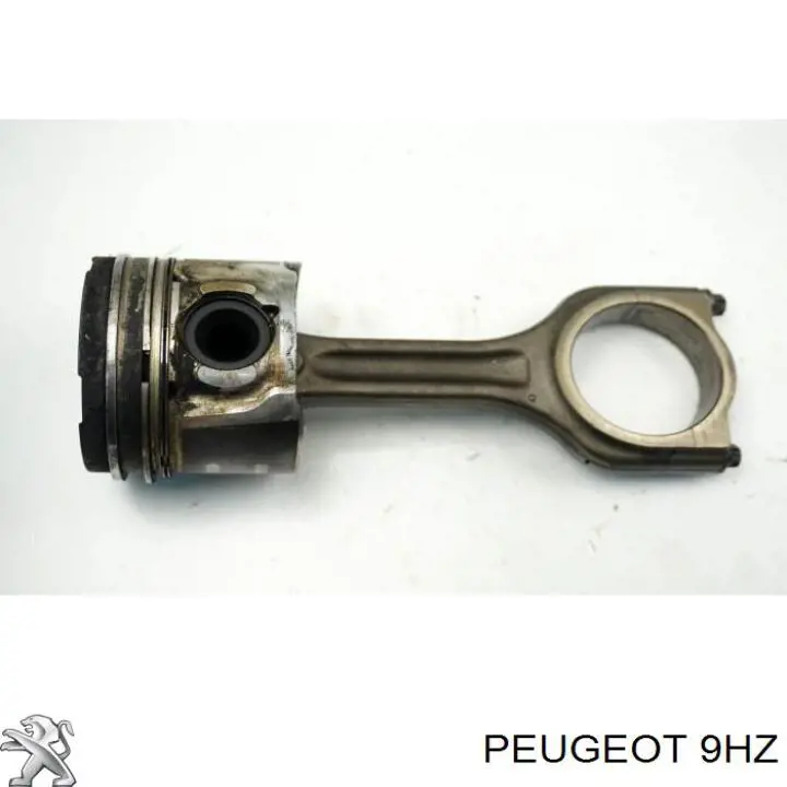 Motor montado Peugeot/Citroen 9HZ preço, a partir de 1118,09 USD