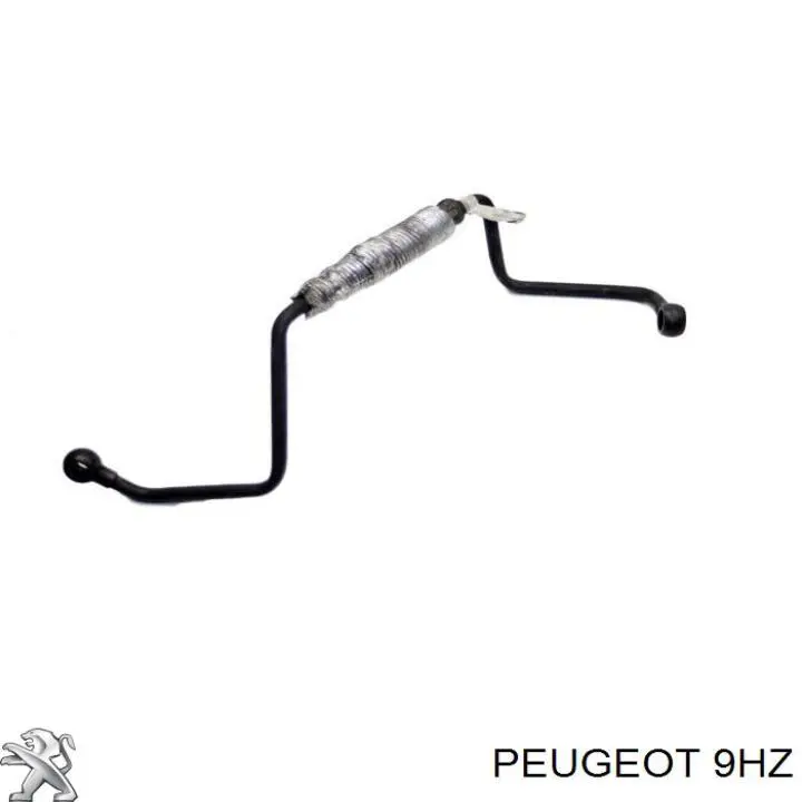 Motor montado 9HZ Peugeot/Citroen