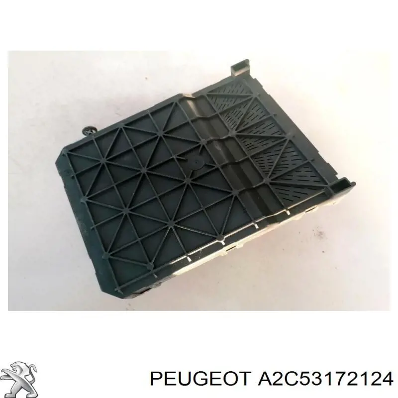  Peugeot/Citroen A2C53172124 цена, от 31.04 USD