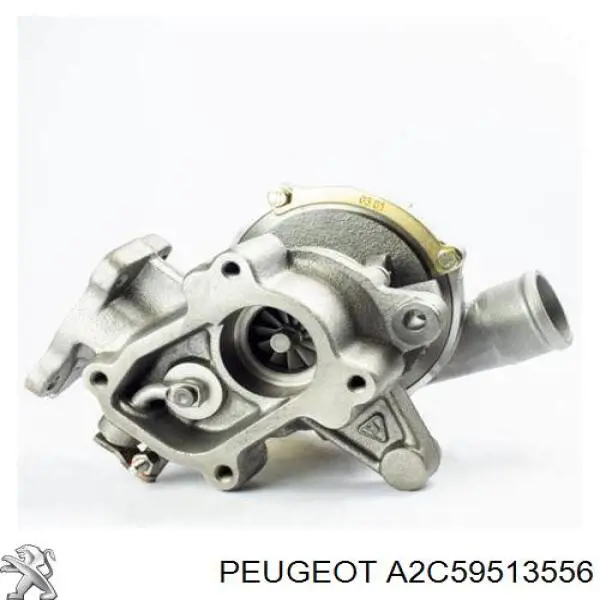 A2C59513556 Peugeot/Citroen injetor de injeção de combustível