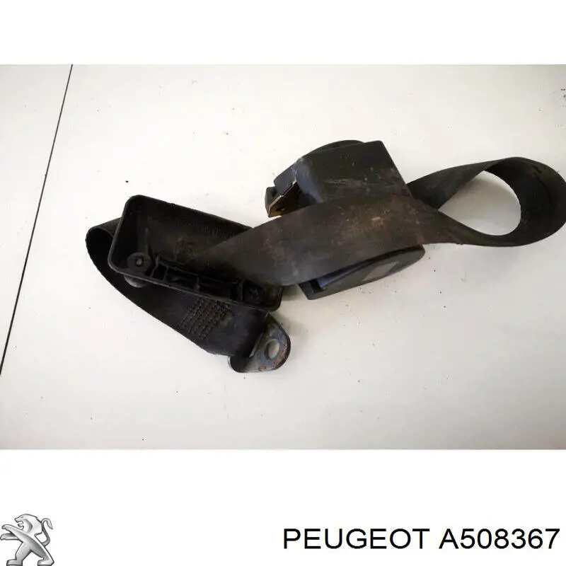 A508367 Peugeot/Citroen 