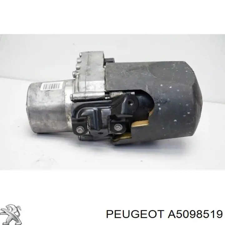 A5098519 Peugeot/Citroen 