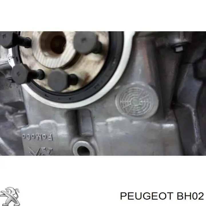 9HC Peugeot/Citroen Мотор в сборе