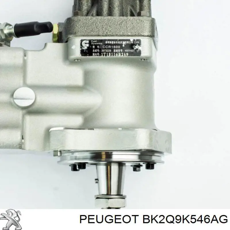 BK2Q9K546AG Peugeot/Citroen injetor de injeção de combustível