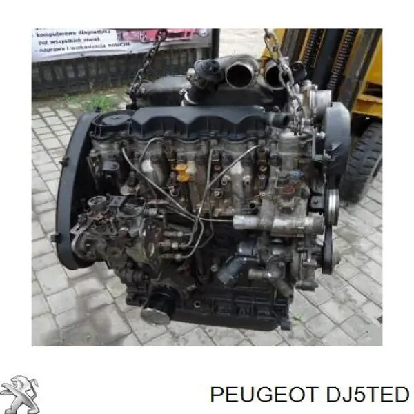 DJ5TED Peugeot/Citroen 
