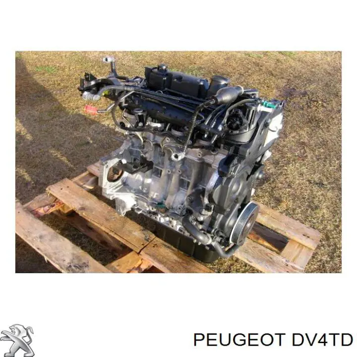 Купить DV4TD Peugeot/Citroen Двигатель голый